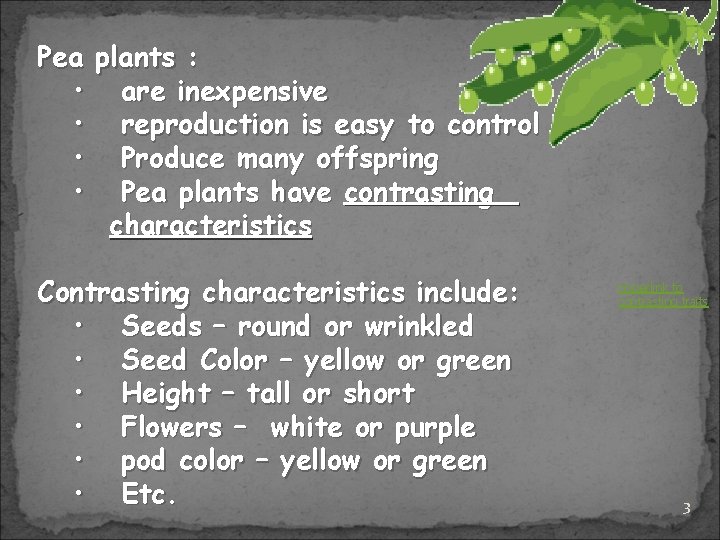 Pea plants : • are inexpensive • reproduction is easy to control • Produce