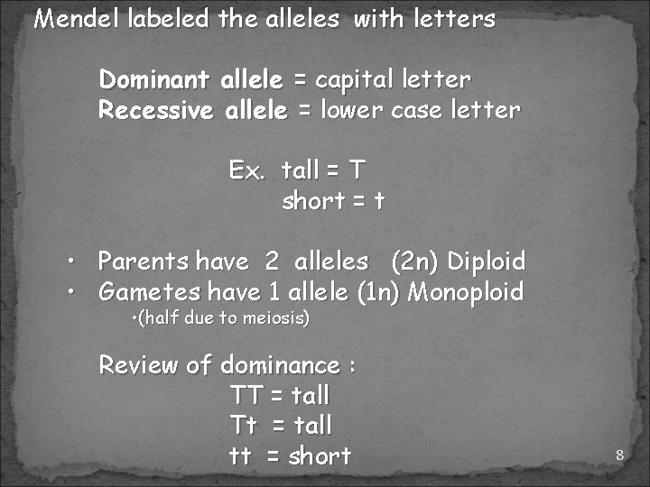 Mendel labeled the alleles with letters Dominant allele = capital letter Recessive allele =