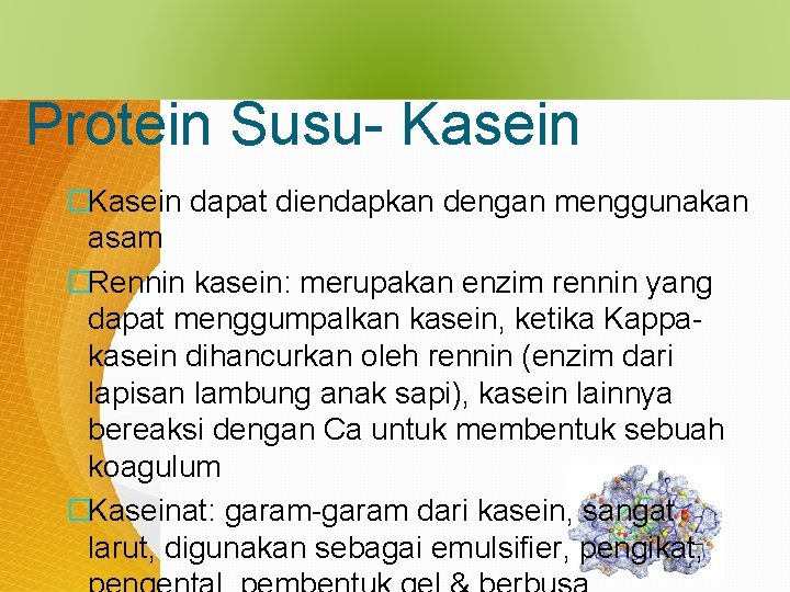 Protein Susu- Kasein �Kasein dapat diendapkan dengan menggunakan asam �Rennin kasein: merupakan enzim rennin