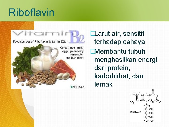 Riboflavin �Larut air, sensitif terhadap cahaya �Membantu tubuh menghasilkan energi dari protein, karbohidrat, dan