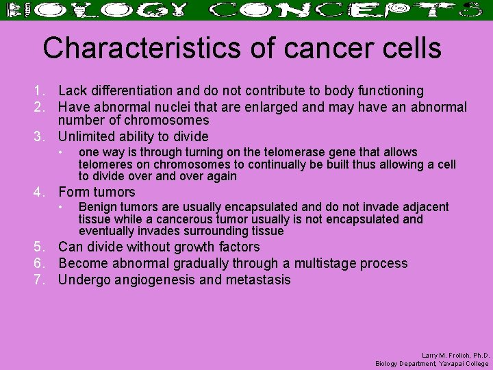 Characteristics of cancer cells 1. Lack differentiation and do not contribute to body functioning