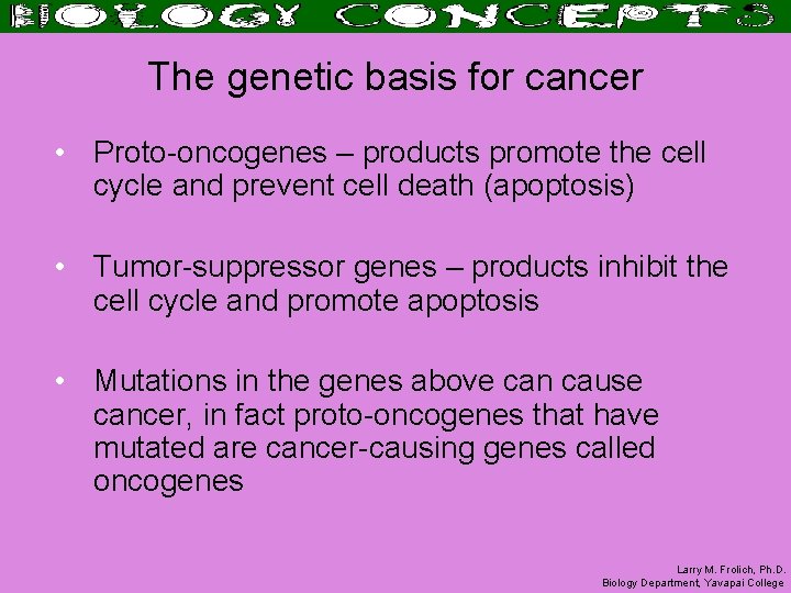 The genetic basis for cancer • Proto-oncogenes – products promote the cell cycle and