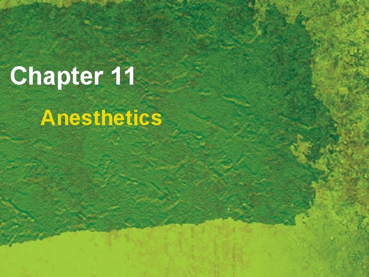 Chapter 11 Anesthetics 