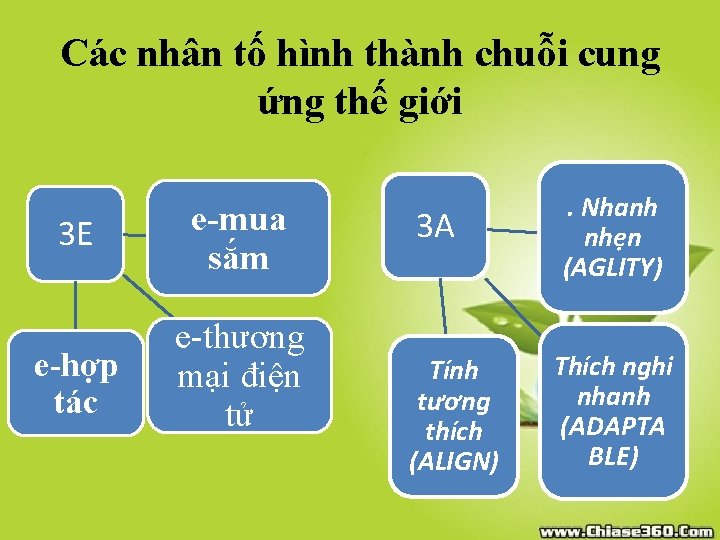 Các nhân tố hình thành chuỗi cung ứng thế giới 3 E e-mua sắm