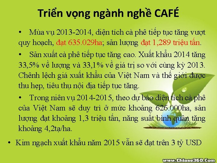 Triển vọng ngành nghề CAFÉ • Mùa vụ 2013 -2014, diện tích cà phê