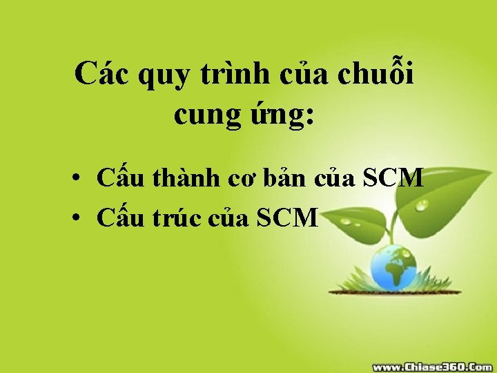 Các quy trình của chuỗi cung ứng: • Cấu thành cơ bản của SCM