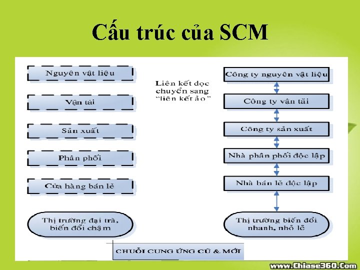 Cấu trúc của SCM 