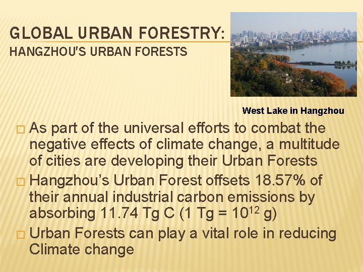 GLOBAL URBAN FORESTRY: HANGZHOU'S URBAN FORESTS West Lake in Hangzhou � As part of