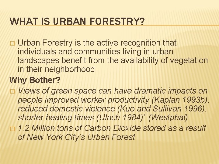 WHAT IS URBAN FORESTRY? Urban Forestry is the active recognition that individuals and communities