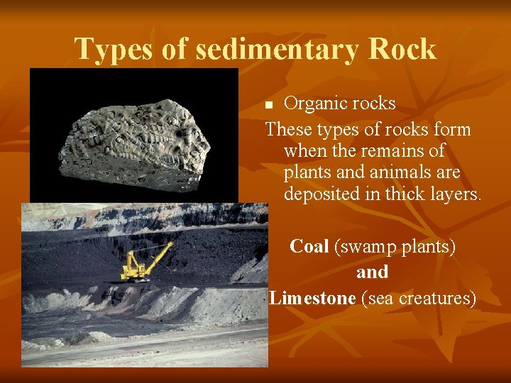 Types of sedimentary Rock Organic rocks These types of rocks form when the remains