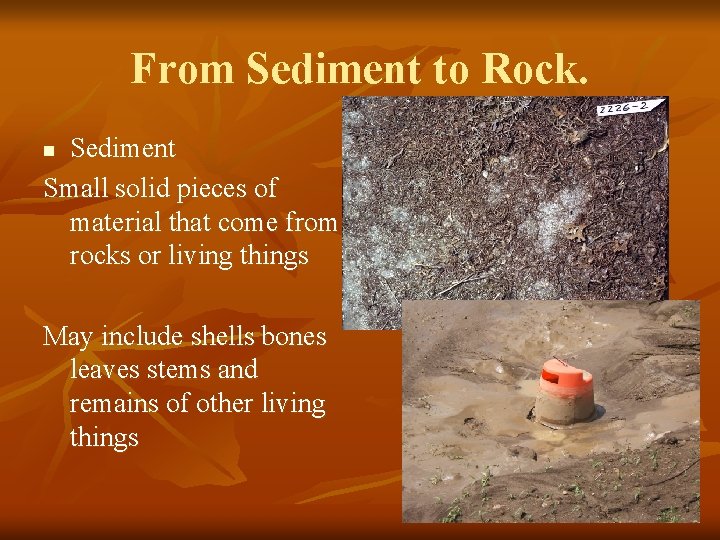 From Sediment to Rock. Sediment Small solid pieces of material that come from rocks