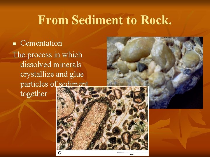 From Sediment to Rock. Cementation The process in which dissolved minerals crystallize and glue