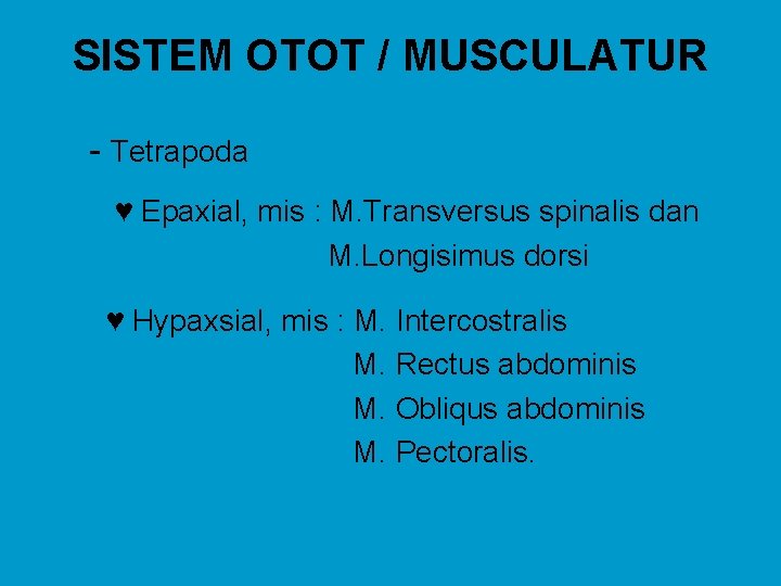 SISTEM OTOT / MUSCULATUR - Tetrapoda ♥ Epaxial, mis : M. Transversus spinalis dan