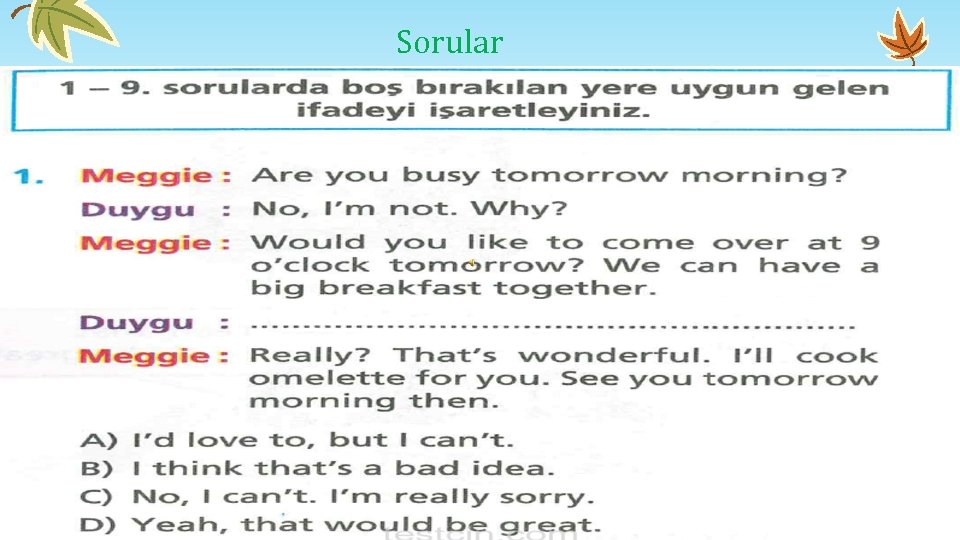 Sorular Sorular