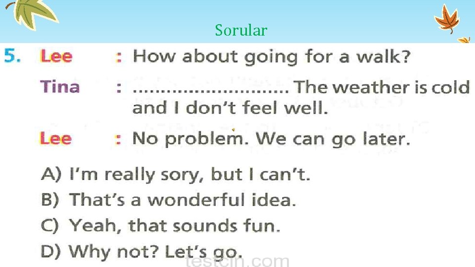 Sorular Sorular