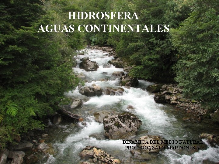 HIDROSFERA AGUAS CONTINENTALES DINAMICA DEL MEDIO NATURAL PROF. GONZALO MARDONES R. 