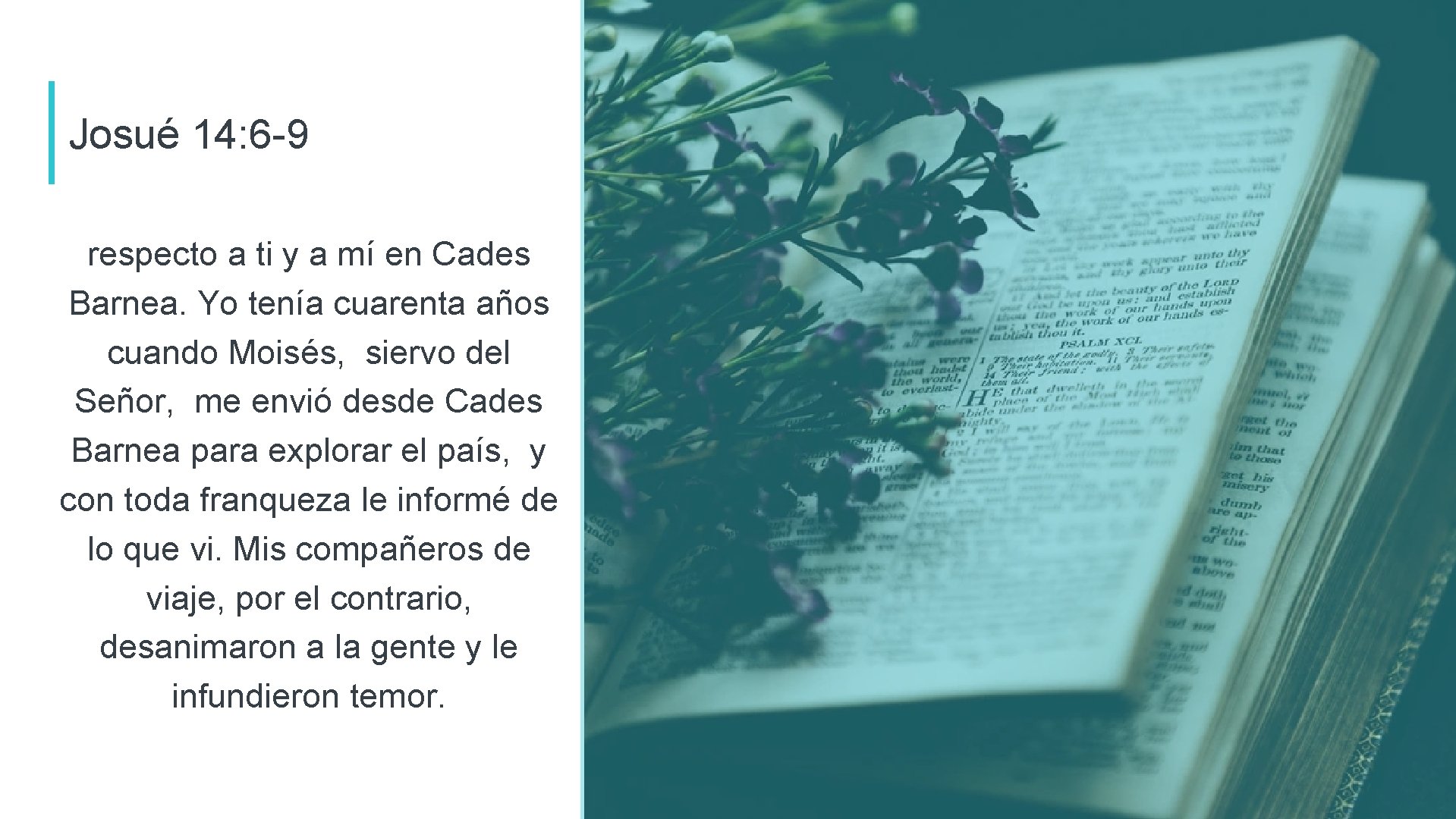 Josué 14: 6 -9 respecto a ti y a mí en Cades Barnea. Yo