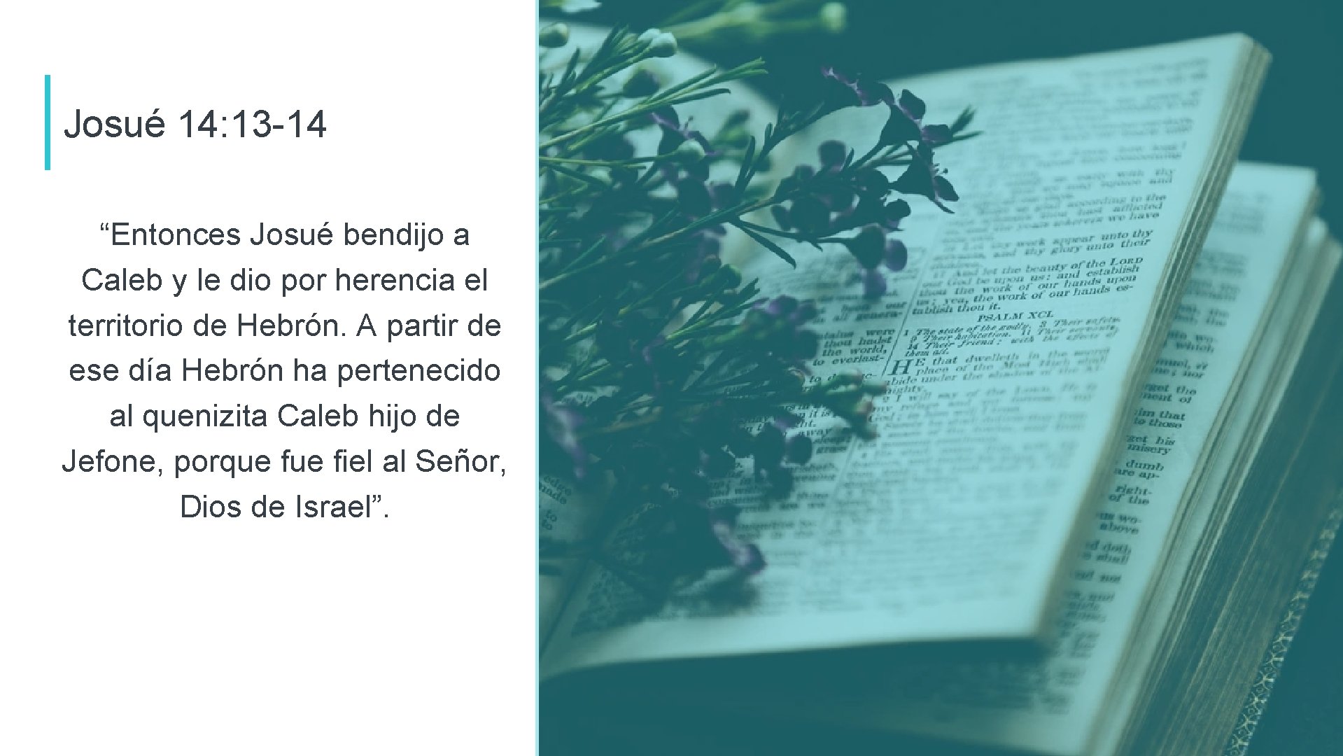 Josué 14: 13 -14 “Entonces Josué bendijo a Caleb y le dio por herencia