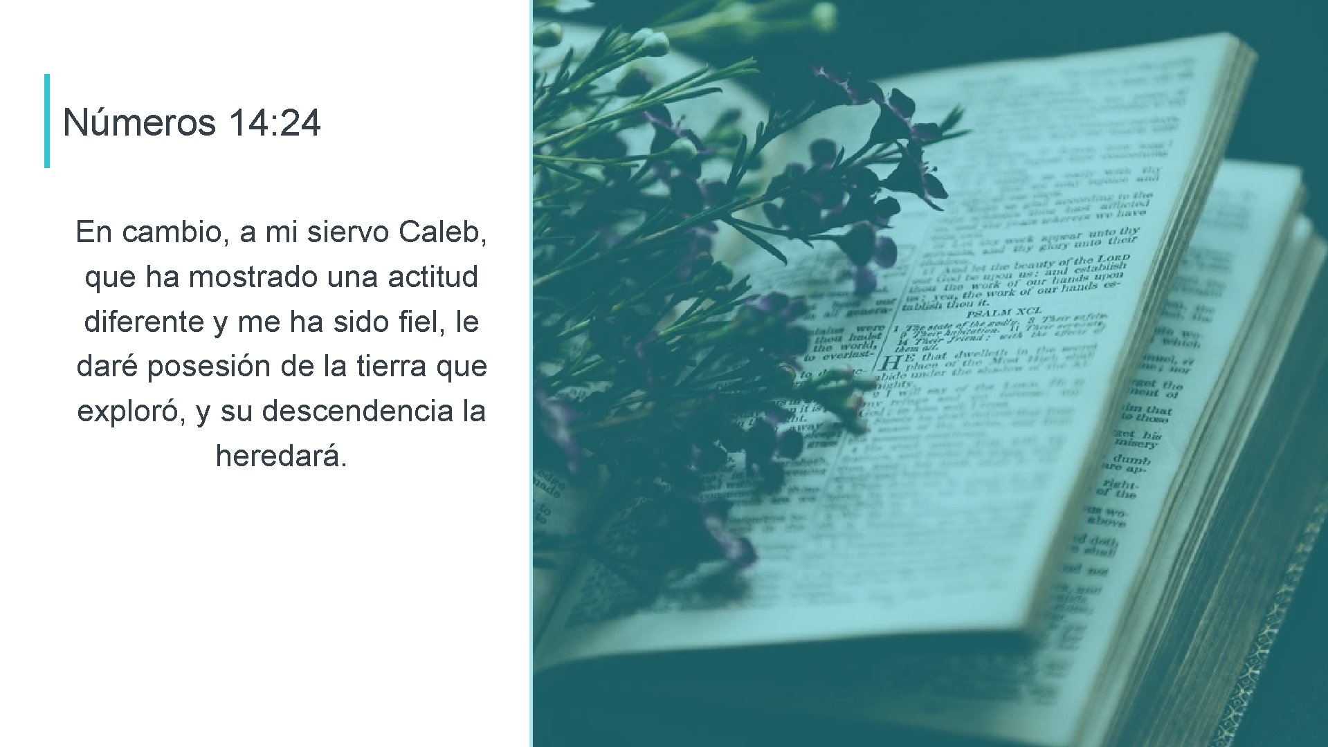 Números 14: 24 En cambio, a mi siervo Caleb, que ha mostrado una actitud