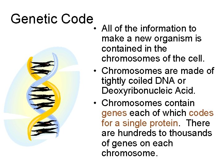 Genetic Code • All of the information to make a new organism is contained Genetic Code • All of the information to make a new organism is contained
