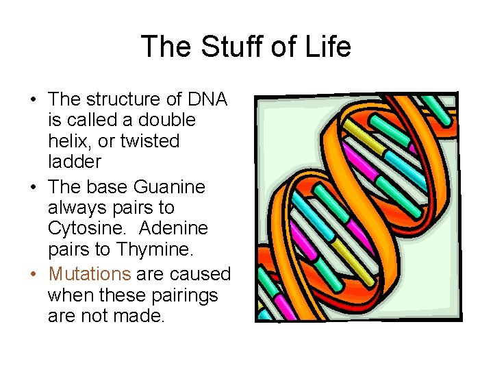 The Stuff of Life • The structure of DNA is called a double helix, The Stuff of Life • The structure of DNA is called a double helix,