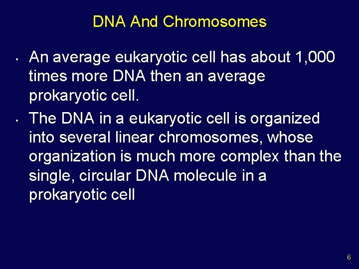 DNA And Chromosomes • • An average eukaryotic cell has about 1, 000 times