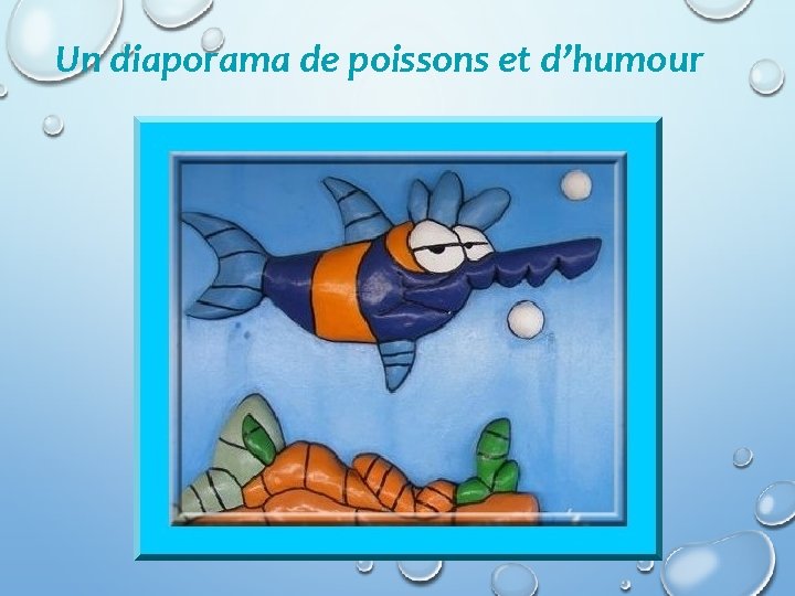 Un diaporama de poissons et d’humour 