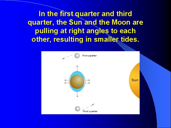 In the first quarter and third quarter, the Sun and the Moon are pulling