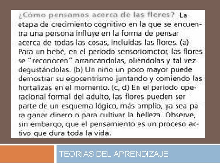 TEORIAS DEL APRENDIZAJE 