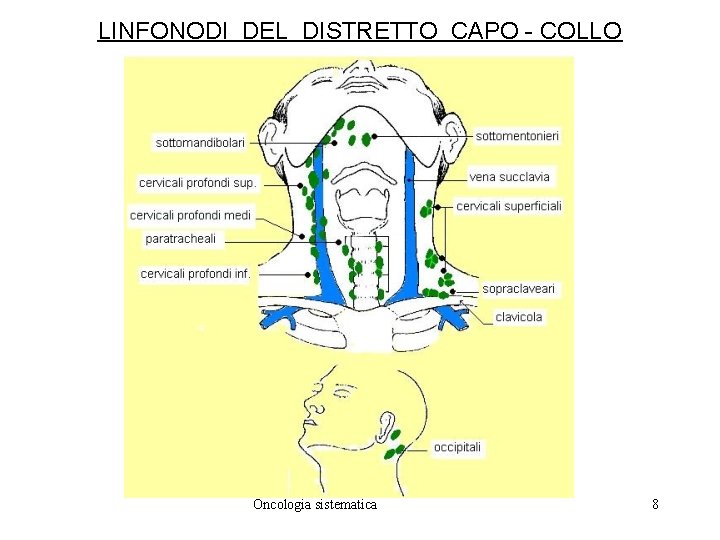 LINFONODI DEL DISTRETTO CAPO - COLLO Oncologia sistematica 8 