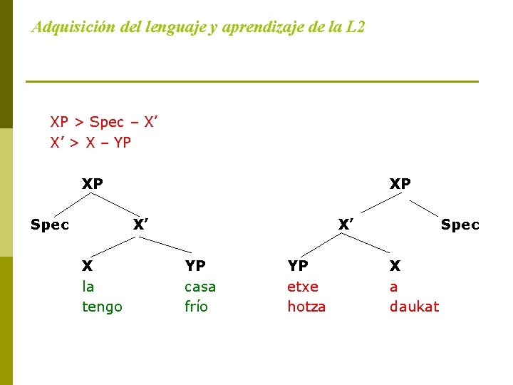 Adquisición del lenguaje y aprendizaje de la L 2 XP > Spec – X’