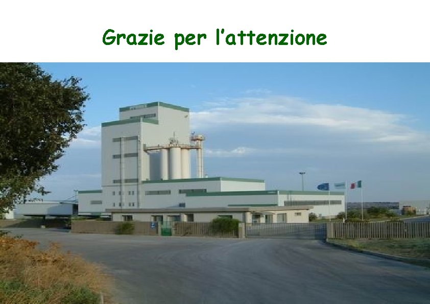 Grazie per l’attenzione 