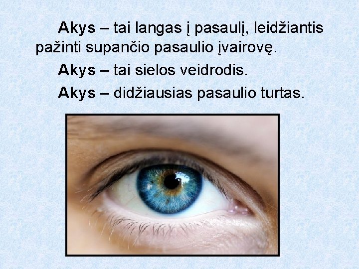 Akys – tai langas į pasaulį, leidžiantis pažinti supančio pasaulio įvairovę. Akys – tai