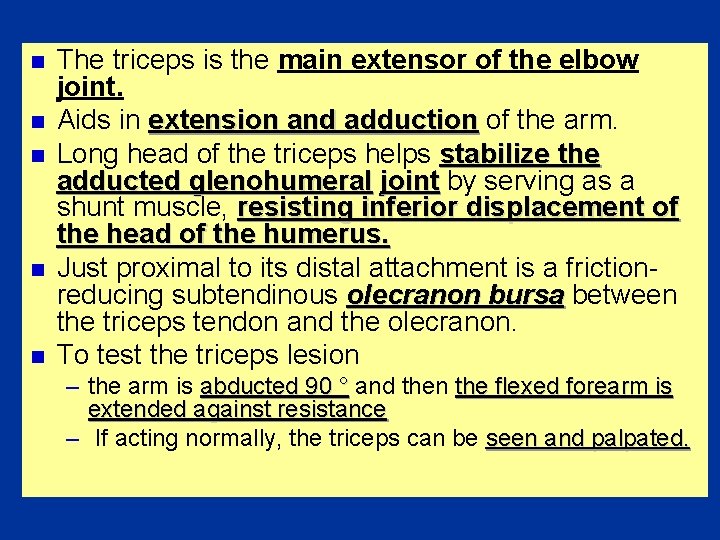 n n n The triceps is the main extensor of the elbow joint. Aids