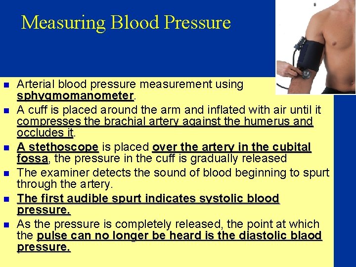 Measuring Blood Pressure n n n Arterial blood pressure measurement using sphygmomanometer A cuff