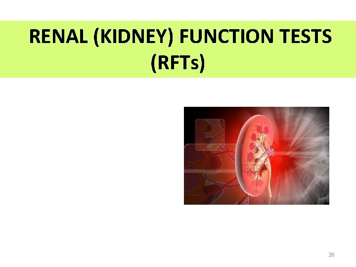 RENAL (KIDNEY) FUNCTION TESTS (RFTs) 26 RENAL (KIDNEY) FUNCTION TESTS (RFTs) 26