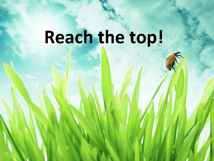 Reach the top! 52 Reach the top! 52