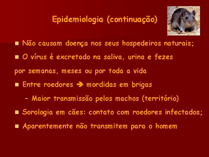 Epidemiologia (continuação) n Não causam doença nos seus hospedeiros naturais; n O vírus é