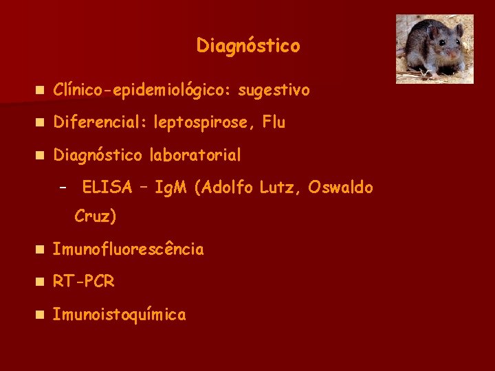 Diagnóstico n Clínico-epidemiológico: sugestivo n Diferencial: leptospirose, Flu n Diagnóstico laboratorial – ELISA –