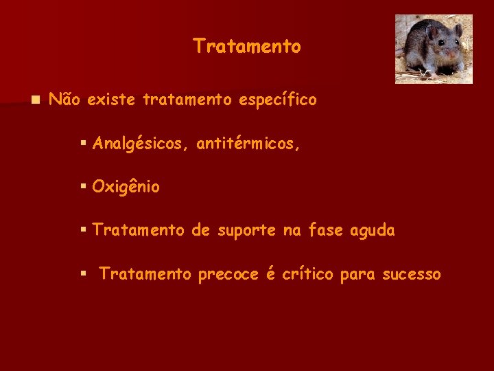Tratamento n Não existe tratamento específico § Analgésicos, antitérmicos, § Oxigênio § Tratamento de