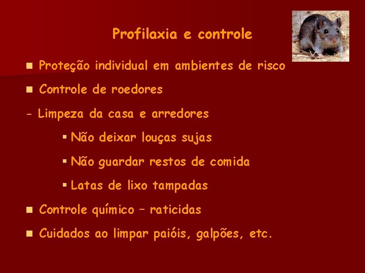 Profilaxia e controle n Proteção individual em ambientes de risco n Controle de roedores
