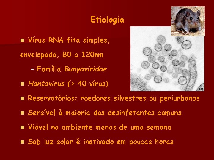 Etiologia n Vírus RNA fita simples, envelopado, 80 a 120 nm – Família Bunyaviridae
