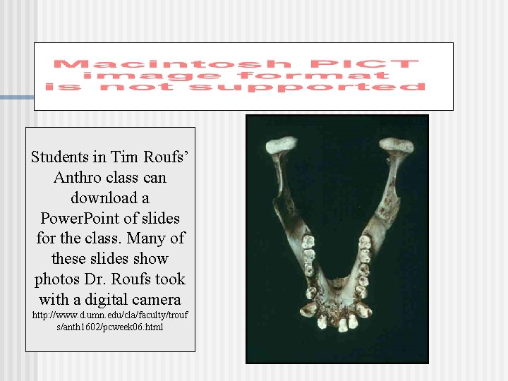 Students in Tim Roufs’ Anthro class can download a Power. Point of slides for