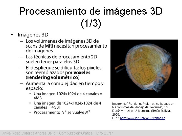 Procesamiento de imágenes 3 D (1/3) • Imagen de “Rendering Volumétrico basado en Mecanismos