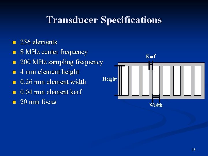 Transducer Specifications n n n n 256 elements 8 MHz center frequency 200 MHz