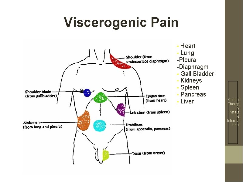 Viscerogenic Pain - Heart - Lung -Pleura -Diaphragm - Gall Bladder - Kidneys -