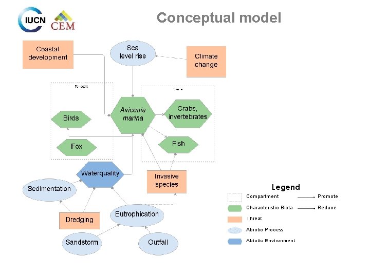 Conceptual model 
