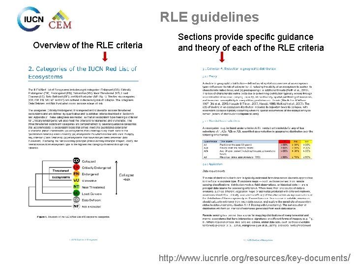 RLE guidelines Overview of the RLE criteria Sections provide specific guidance and theory of