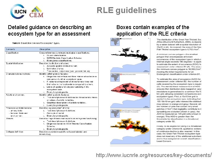 RLE guidelines Detailed guidance on describing an ecosystem type for an assessment Boxes contain