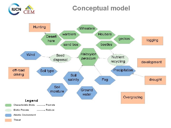 Conceptual model 